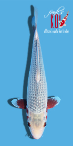 44